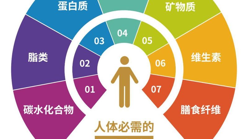 2025年增肌蛋白粉成分解析：揭秘优质蛋白的秘密